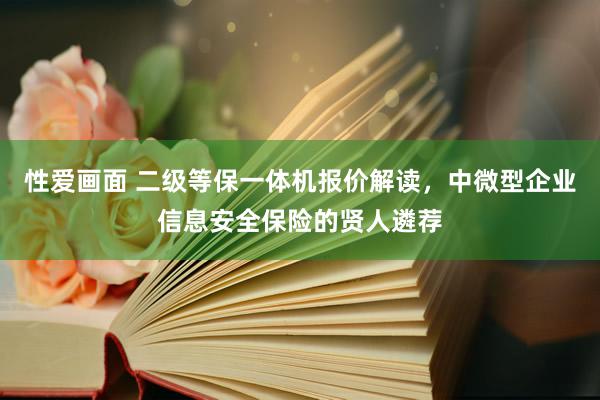 性爱画面 二级等保一体机报价解读，中微型企业信息安全保险的贤人遴荐