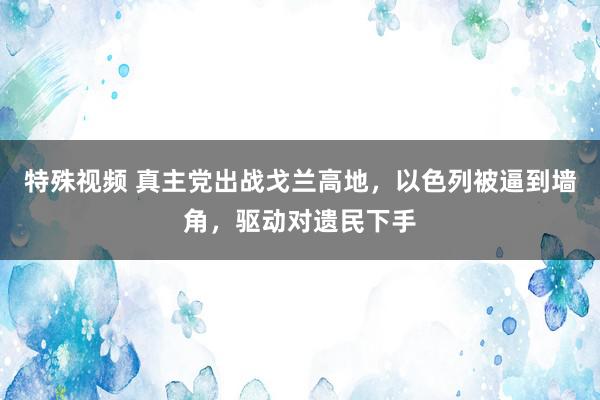 特殊视频 真主党出战戈兰高地，以色列被逼到墙角，驱动对遗民下手