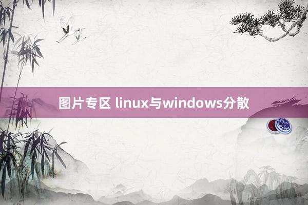 图片专区 linux与windows分散