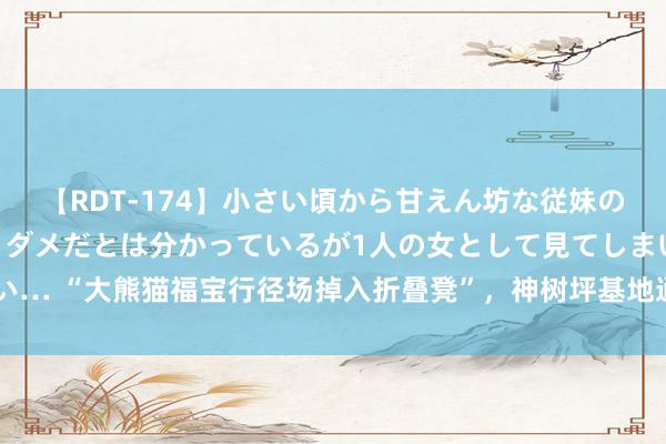 【RDT-174】小さい頃から甘えん坊な従妹の発育途中の躰が気になりダメだとは分かっているが1人の女として見てしまい… “大熊猫福宝行径场掉入折叠凳”，神树坪基地通报：涉事旅客终生禁入！