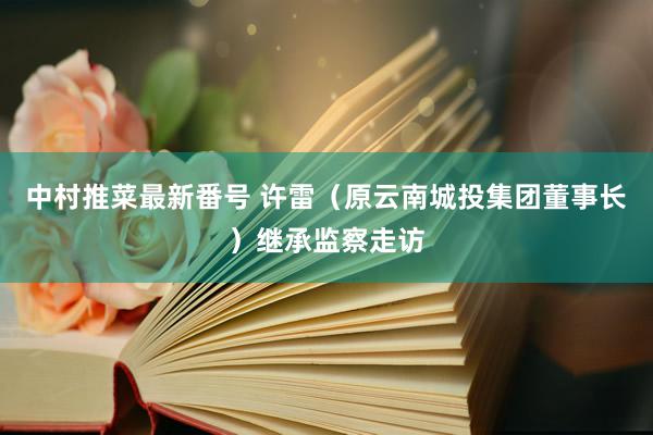 中村推菜最新番号 许雷（原云南城投集团董事长）继承监察走访