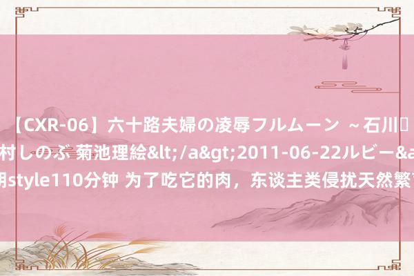 【CXR-06】六十路夫婦の凌辱フルムーン ～石川・山中温泉篇～ 中村しのぶ 菊池理絵</a>2011-06-22ルビー&$鱗太朗style110分钟 为了吃它的肉，东谈主类侵扰天然繁育历程，比利时蓝牛越庞大就越遭罪