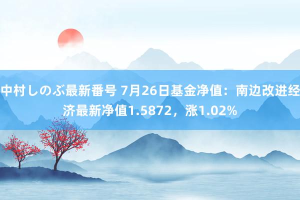 中村しのぶ最新番号 7月26日基金净值：南边改进经济最新净值1.5872，涨1.02%