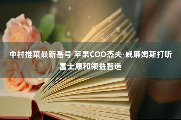 中村推菜最新番号 苹果COO杰夫·威廉姆斯打听富士康和领益智造