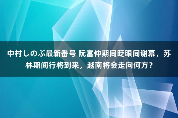 中村しのぶ最新番号 阮富仲期间眨眼间谢幕，苏林期间行将到来，越南将会走向何方？