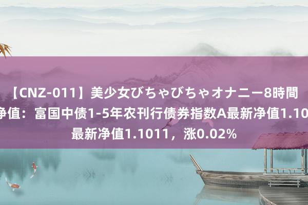 【CNZ-011】美少女びちゃびちゃオナニー8時間 7月26日基金净值：富国中债1-5年农刊行债券指数A最新净值1.1011，涨0.02%