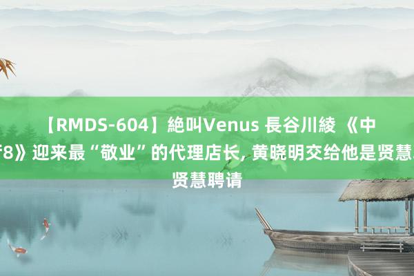 【RMDS-604】絶叫Venus 長谷川綾 《中餐厅8》迎来最“敬业”的代理店长, 黄晓明交给他是贤慧聘请