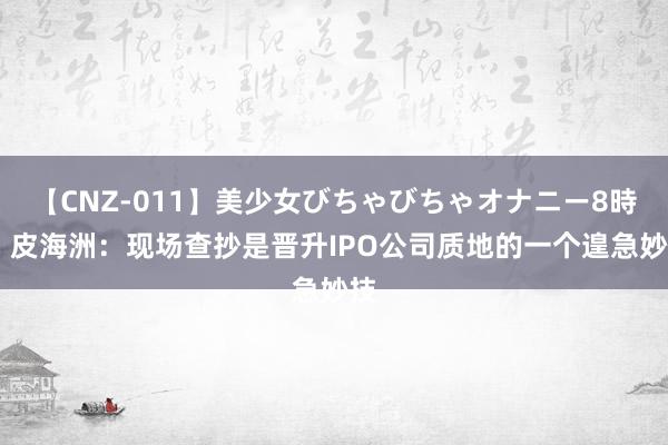 【CNZ-011】美少女びちゃびちゃオナニー8時間 皮海洲：现场查抄是晋升IPO公司质地的一个遑急妙技