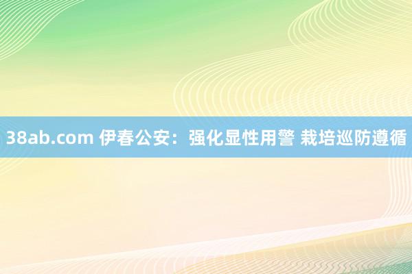 38ab.com 伊春公安：强化显性用警 栽培巡防遵循