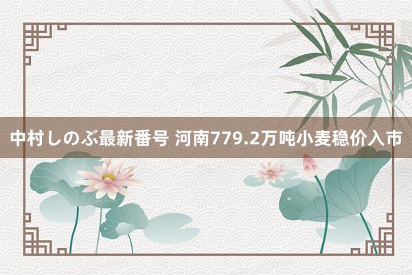 中村しのぶ最新番号 河南779.2万吨小麦稳价入市