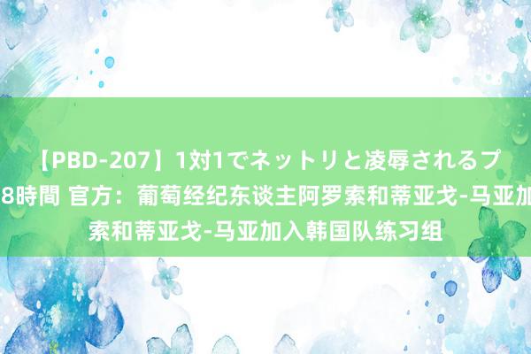 【PBD-207】1対1でネットリと凌辱されるプレミア女優たち 8時間 官方：葡萄经纪东谈主阿罗索和蒂亚戈-马亚加入韩国队练习组