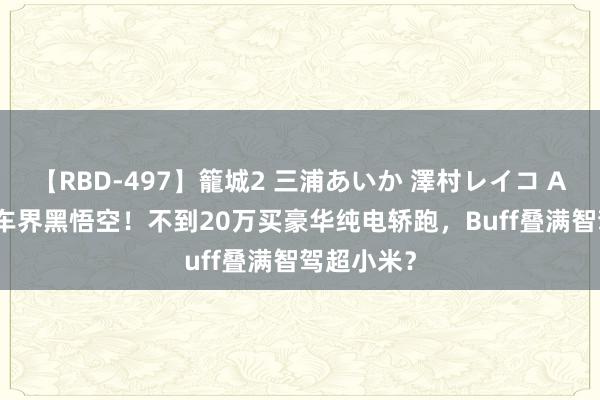 【RBD-497】籠城2 三浦あいか 澤村レイコ ASUKA 汽车界黑悟空！不到20万买豪华纯电轿跑，Buff叠满智驾超小米？