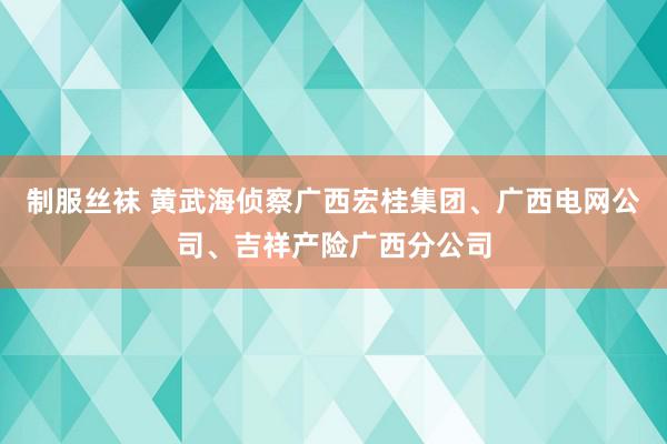 制服丝袜 黄武海侦察广西宏桂集团、广西电网公司、吉祥产险广西分公司