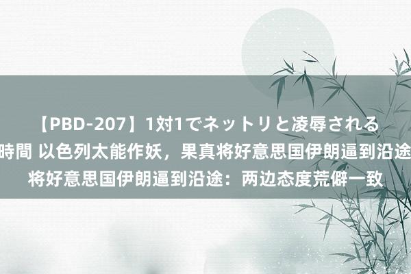 【PBD-207】1対1でネットリと凌辱されるプレミア女優たち 8時間 以色列太能作妖，果真将好意思国伊朗逼到沿途：两边态度荒僻一致