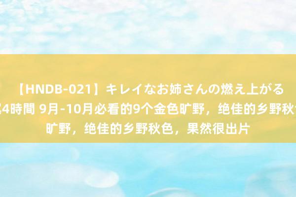 【HNDB-021】キレイなお姉さんの燃え上がる本物中出し交尾4時間 9月-10月必看的9个金色旷野，绝佳的乡野秋色，果然很出片