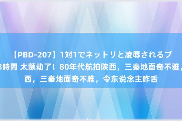 【PBD-207】1対1でネットリと凌辱されるプレミア女優たち 8時間 太颤动了！80年代航拍陕西，三秦地面奇不雅，令东说念主咋舌